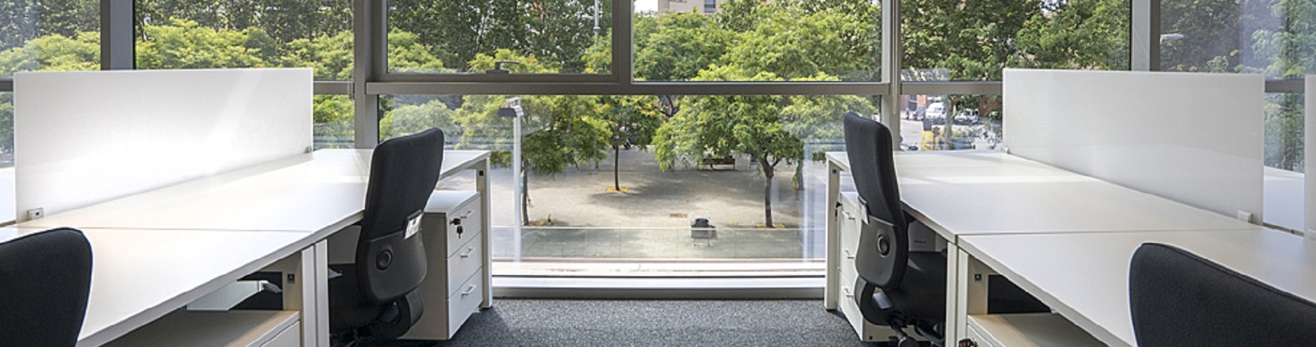 Image of third carousel